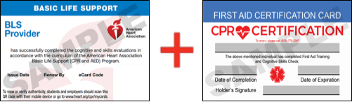 Sample American Heart Association AHA BLS CPR Card Certification and First Aid Certification Card from CPR Certification Albuquerque