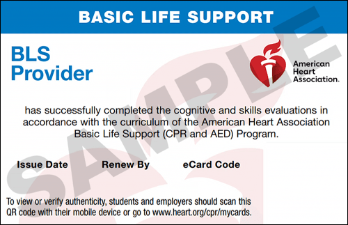 Sample American Heart Association AHA BLS CPR Card Certification from CPR Certification Albuquerque